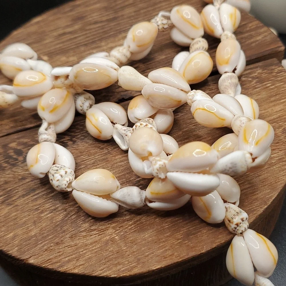 N3002 Hawaii‎ tropic seashell necklace 😍